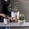 De ronde van de Plantersclay flower pots mini planter van Succulents van Pottenplanters Bloempotten van het de Pottencement