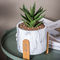 De Planters van de het Cementpot van Mini Succulents Planters Tabletop Pots Clay Flower Pots Marble Flowerpots