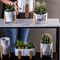 Mini Succulents Pot Planters Tabletop-de Potten Marmeren Planters van Plantersclay flower pots cement plant