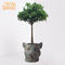 Bureau 44.5x42x37.5cm Decoratief Clay Pots For Plants