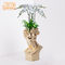 Weer Bestand 35x35x57.4cm Clay Flower Pots For Balcony
