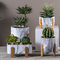 De ronde Succulents-van de Bloempotten van het Pottencement Decoratieve Potten van Mini Pot Planters Tabletop Flowerpots